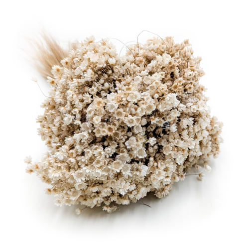 Glixia Marcela Naturalna (1).png