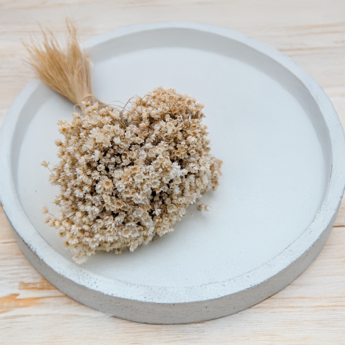 Glixia Marcela naturalna.png