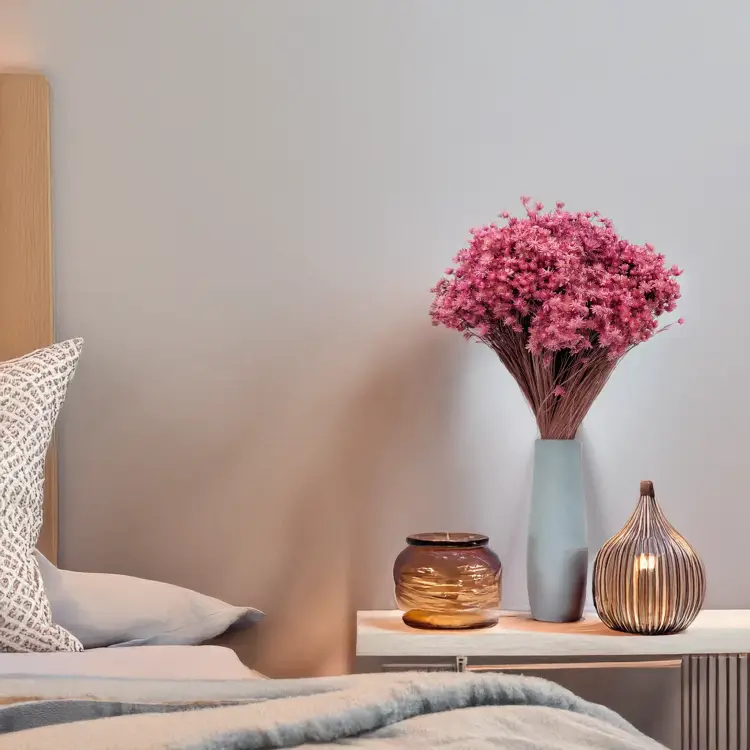 Glixia Marcela fuksja 5.png