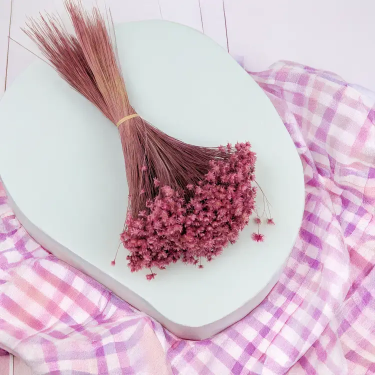 Glixia Marcela fuksja 2.png