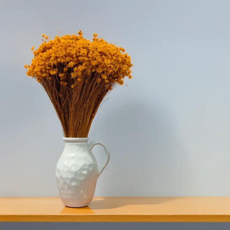 Glixia Marcela pomarańczowa 5.png