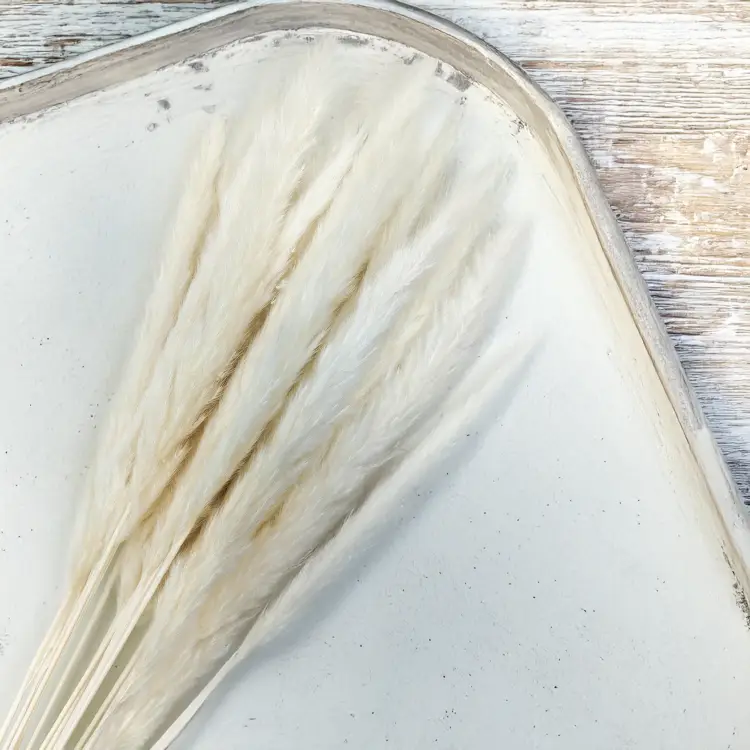 Mini Pampas Bielony 1.png