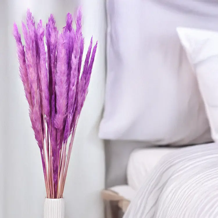 Mini pampas Fioletowy.png