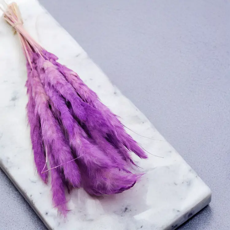 Mini pampas Fioletowy 4.png