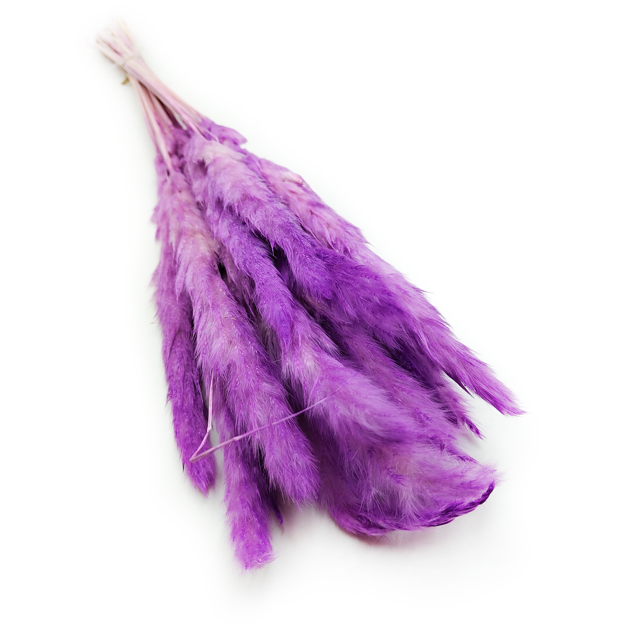 Mini Trawa Pampasowa - Fioletowa