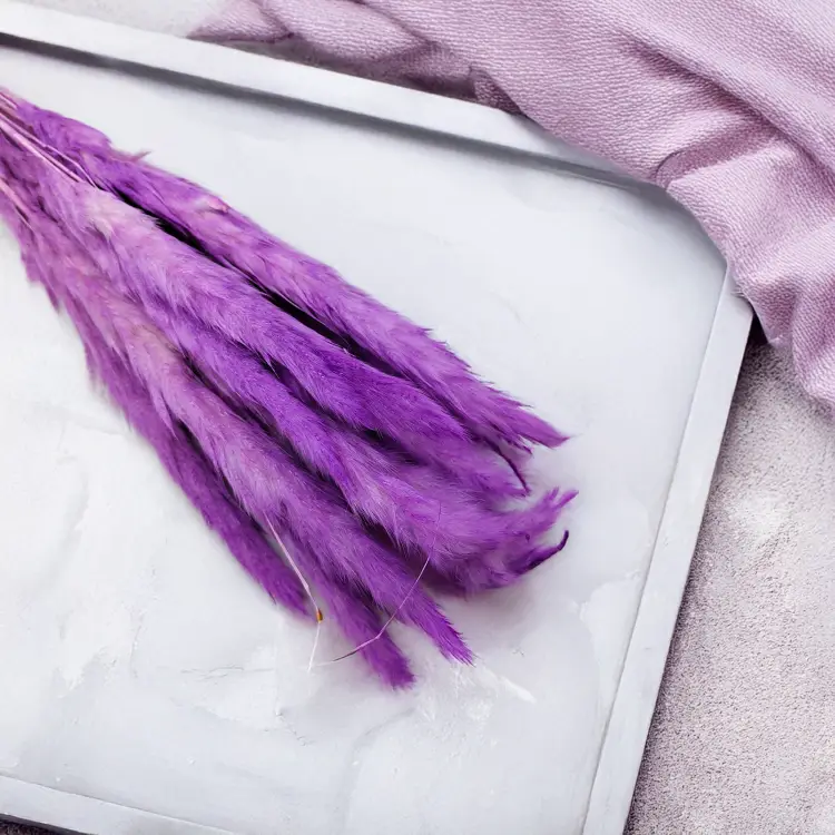 Mini pampas Fioletowy 2.png