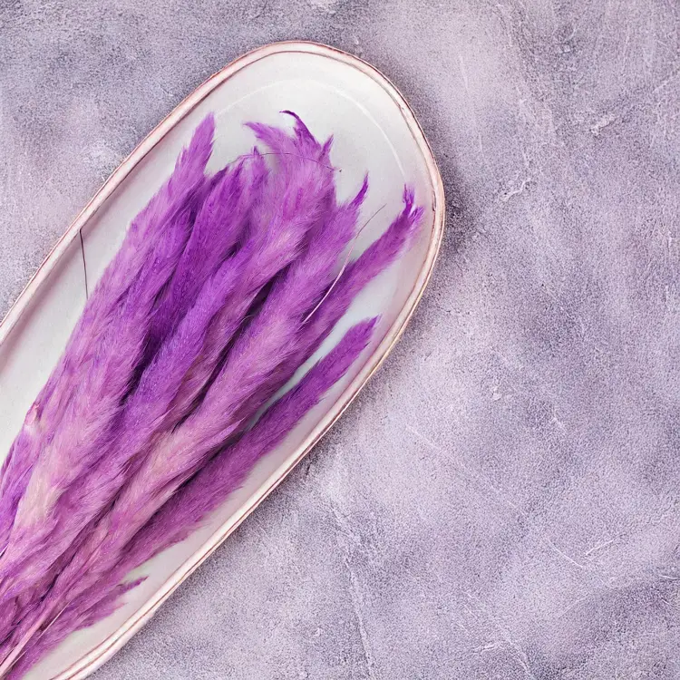 Mini pampas Fioletowy 1.png