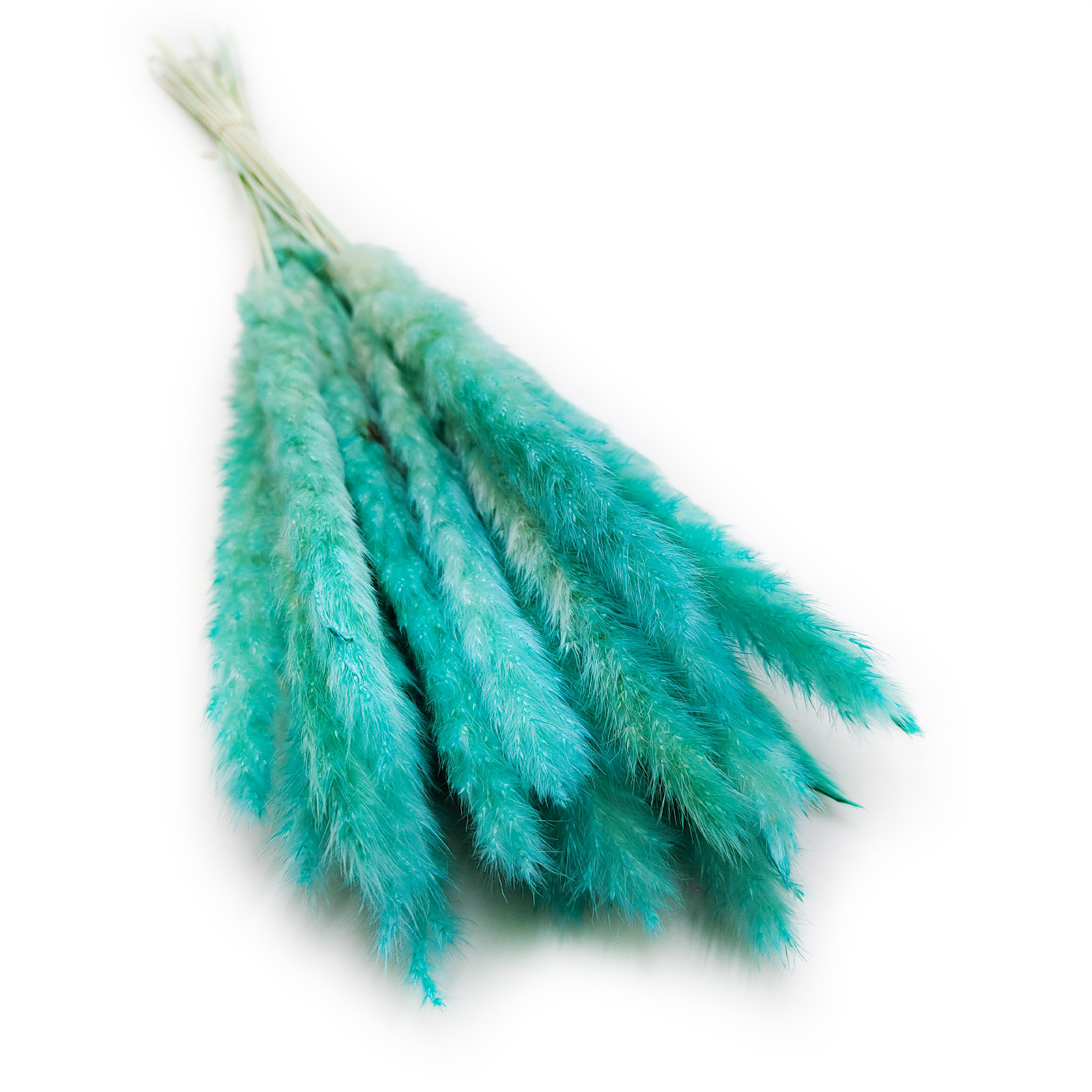 Mini Trawa Pampasowa - Lazurowa