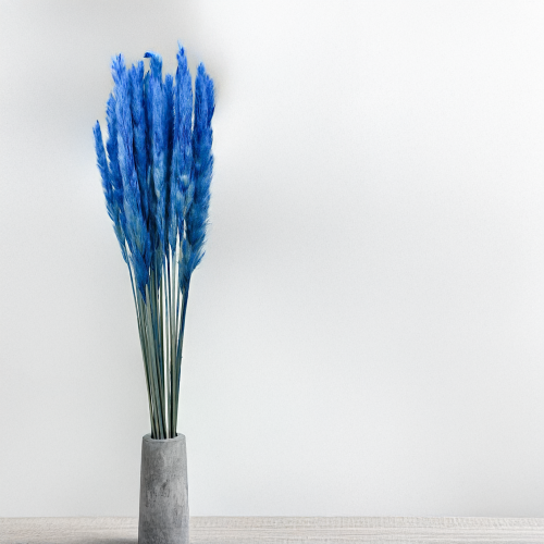 Mini pampas Niebieski 3.png