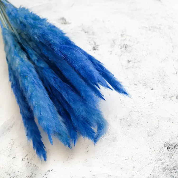 Mini pampas Niebieski 1 (1).png