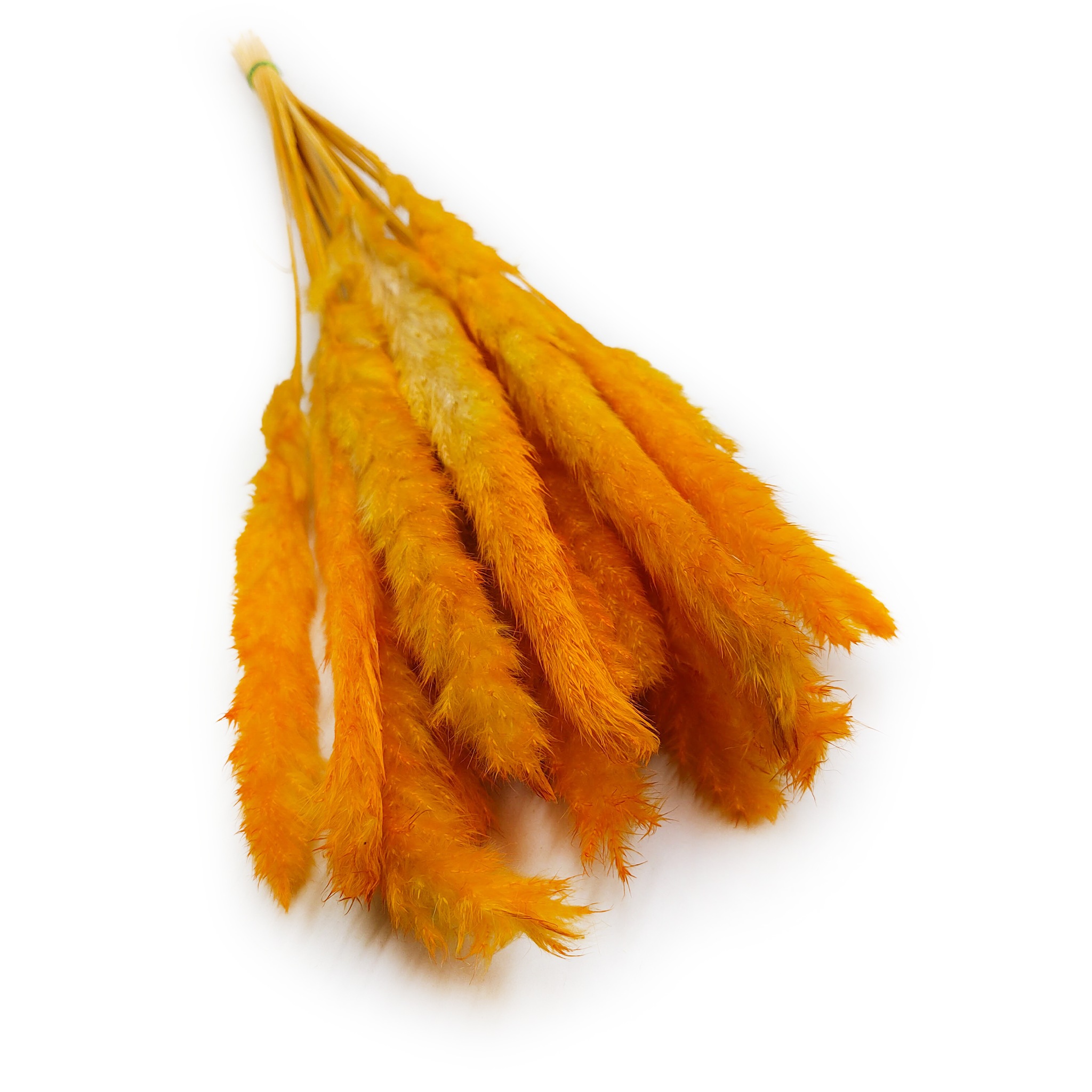 Mini Trawa Pampasowa - Pomarańczowa