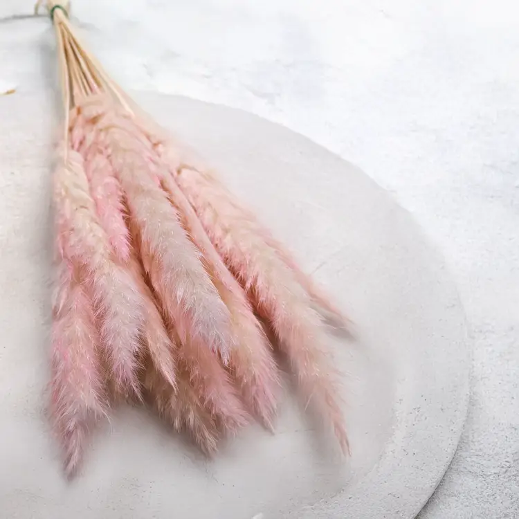 Mini Pampas Różowy 2.png