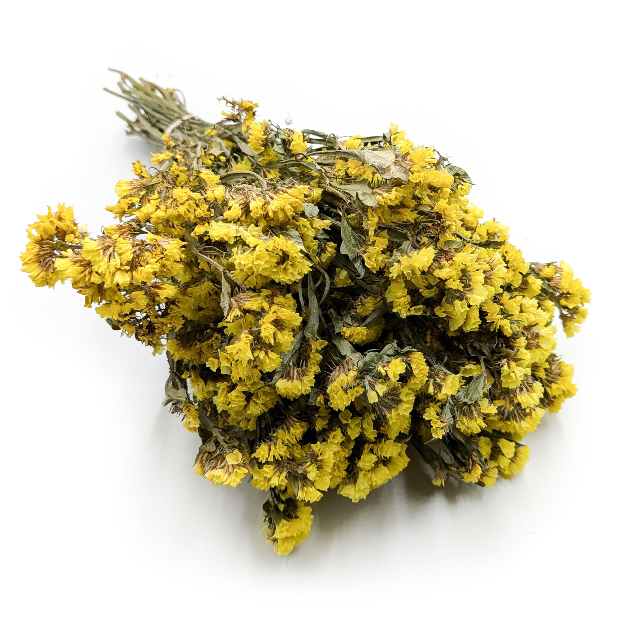 Zatrwian Wrębny  - Limonium sinuatum - Żółty