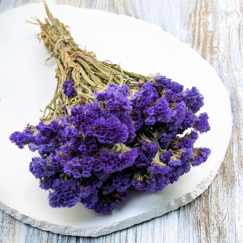 Zatrwian Fioletowy Suszony 5.png