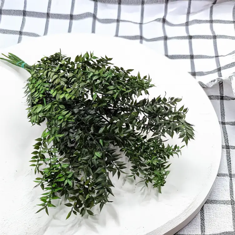 Ruskus stabilizowany Zielony 2.png