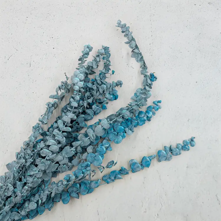 Eukaliptus baby matowy zielony 3.png