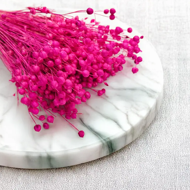 Len Suszony Fuksja 3.png