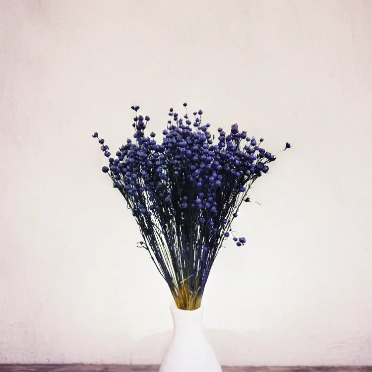 Len Susozny Granat Królewski 1.png