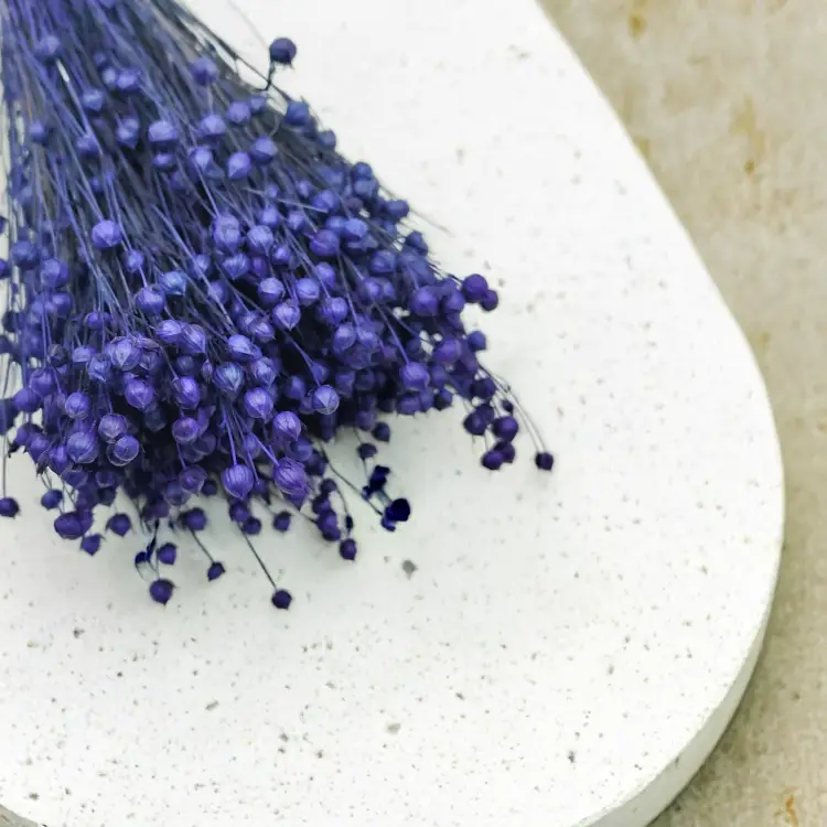 Len Susozny Granat Królewski 8.png