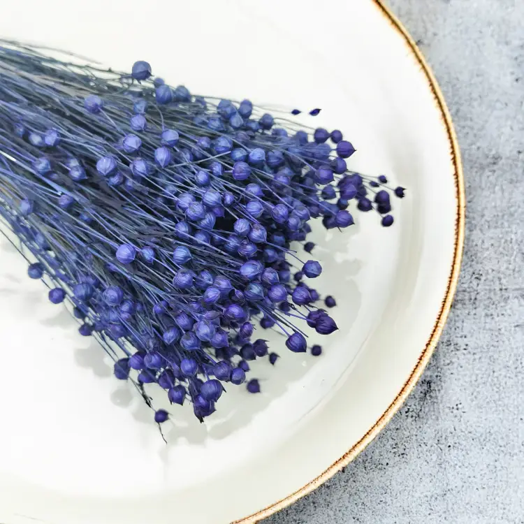 Len Susozny Granat Królewski 5.png