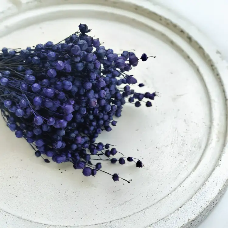 Len Susozny Granat Królewski 3.png