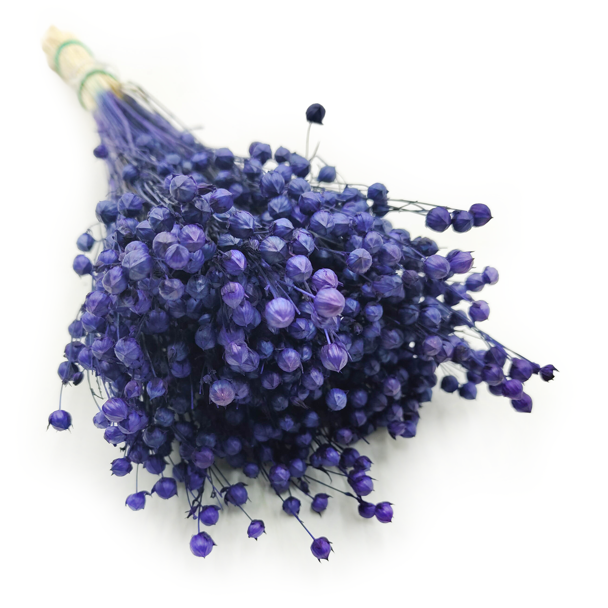 Len Suszony - Granatowy