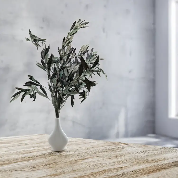 Oliwka srebrzysta Zielona 4.png