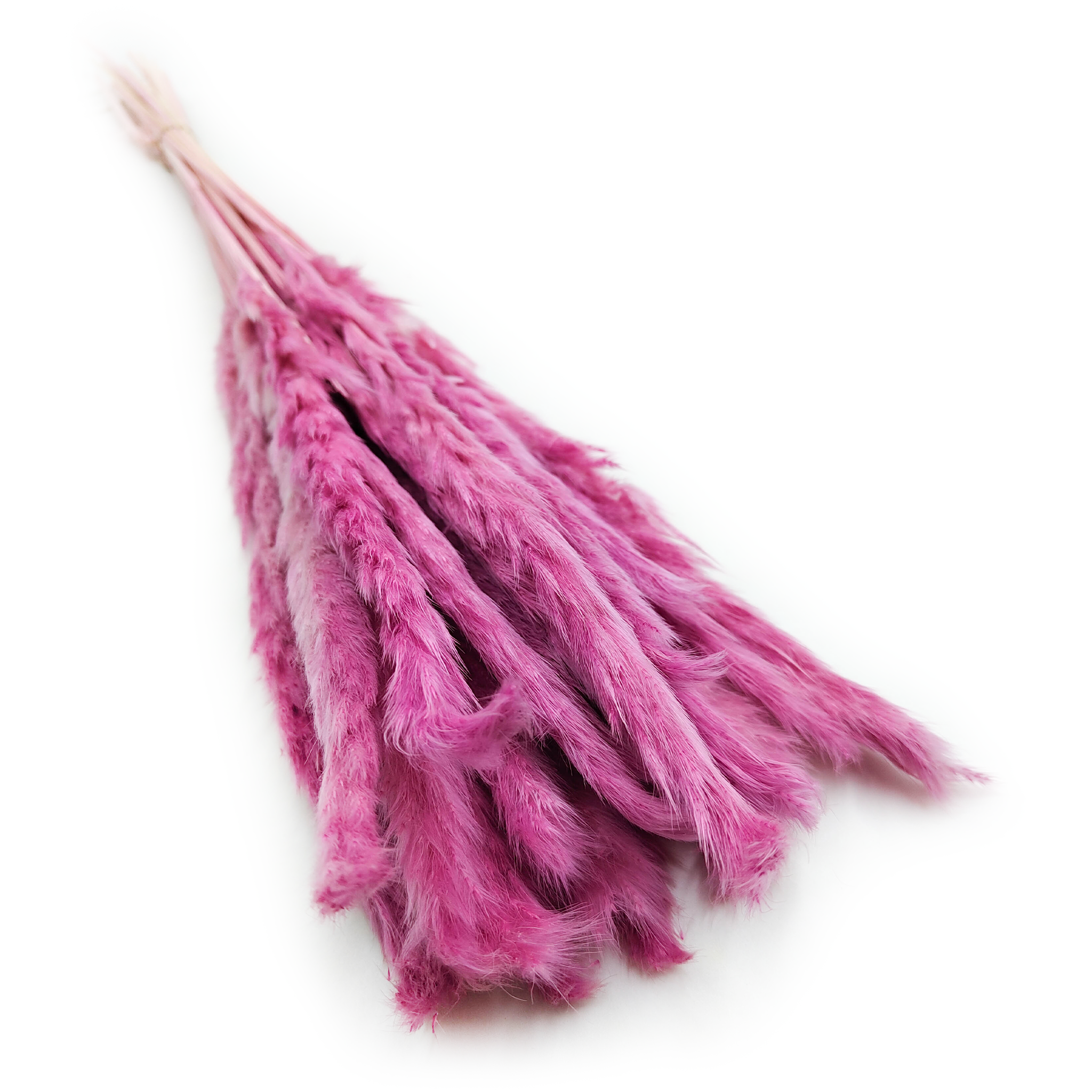 Mini Trawa Pampasowa - Wrzosowa