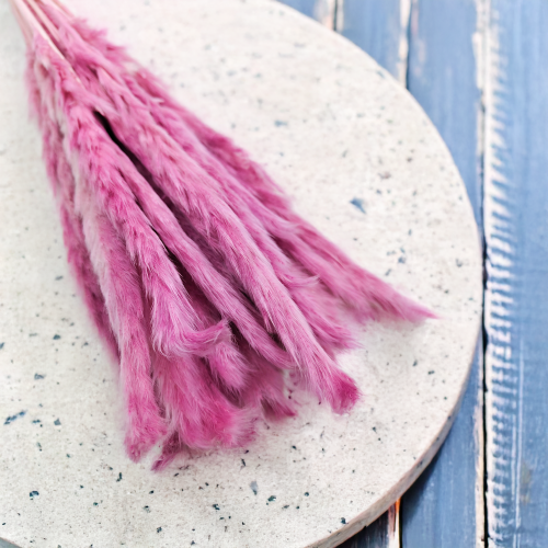 Mini pampas Wrzosowy 3 (1).png