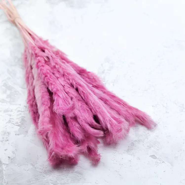 Mini pampas Wrzosowy 1.png