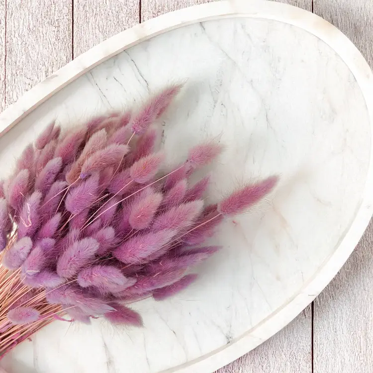 Suszony Lagurus wrzosowy heather 1.png