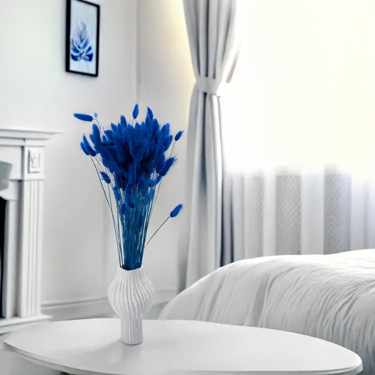 Lagurus granatowy 4.png