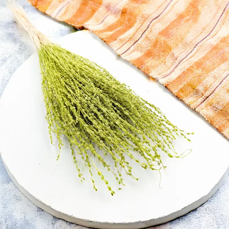 Lepidium Zielone Suszone 3.png