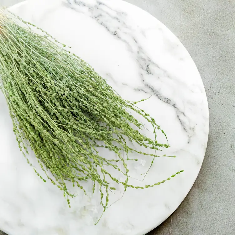 Lepidium Jasnozielone suszone 4.png