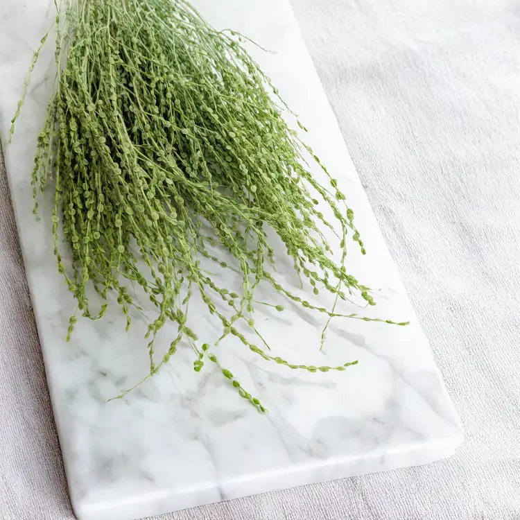 Lepidium Jasnozielone suszone 2.png