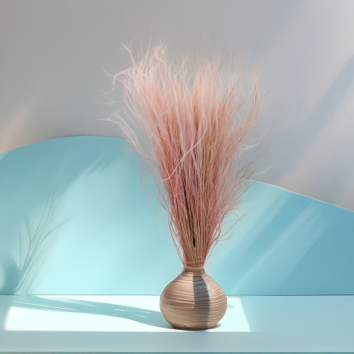 Stipa wrzosowa 3.png