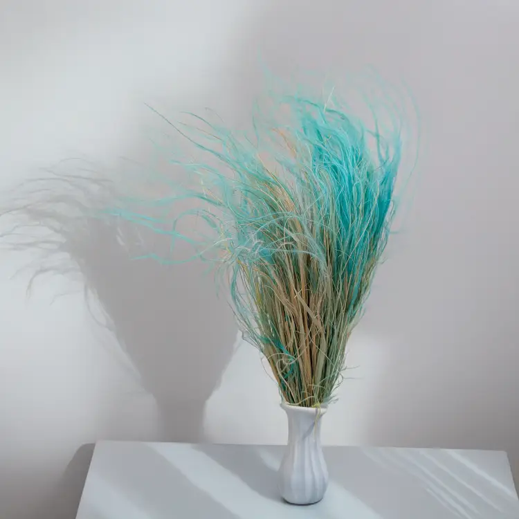 Stipa miętowa 3.png