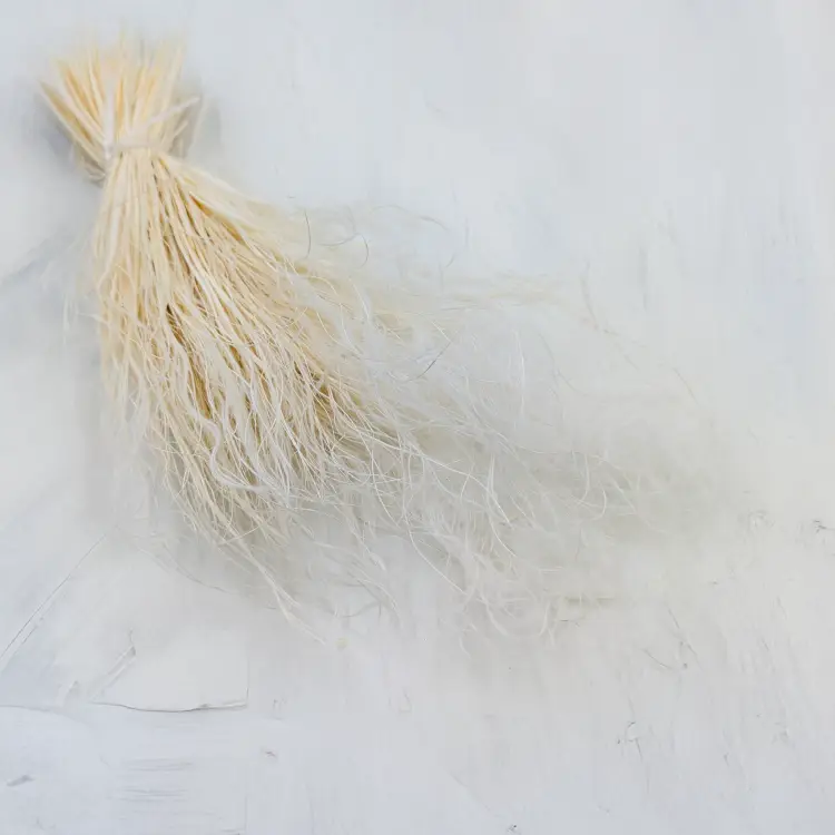 Stipa bielona.png