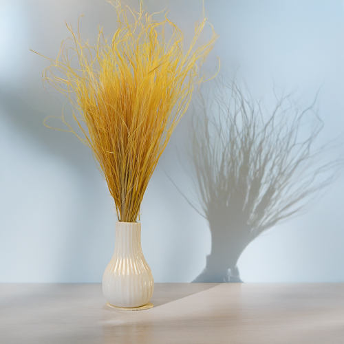 Stipa imbirowa 4.png