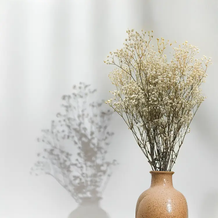 Gipsówka Stabilizowana Naturalna 1.png