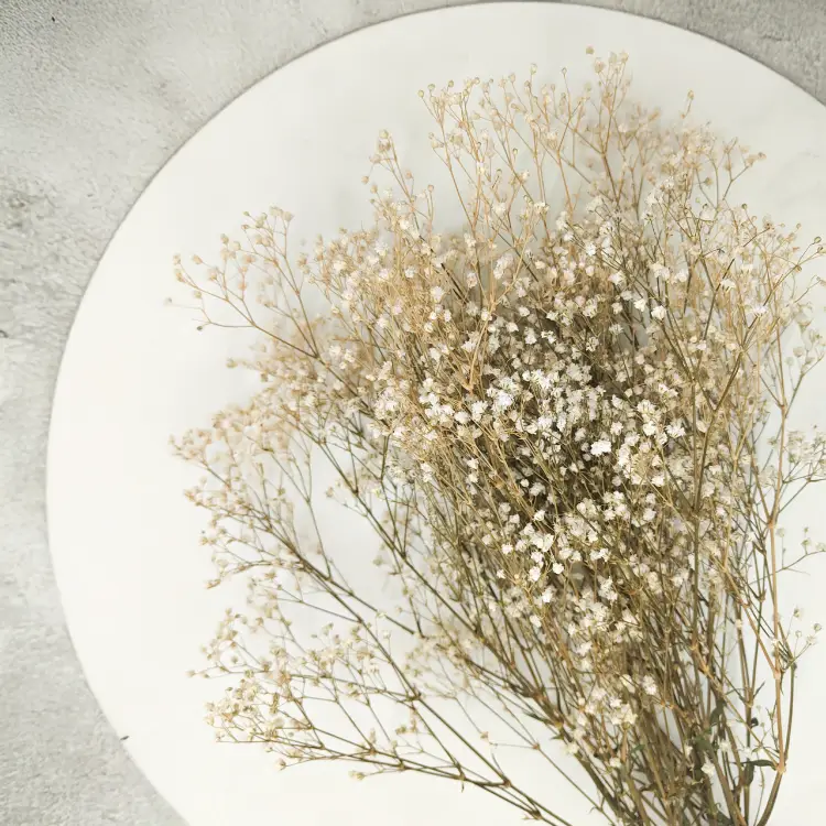 Gipsówka Stabilizowana Naturalna 5.png