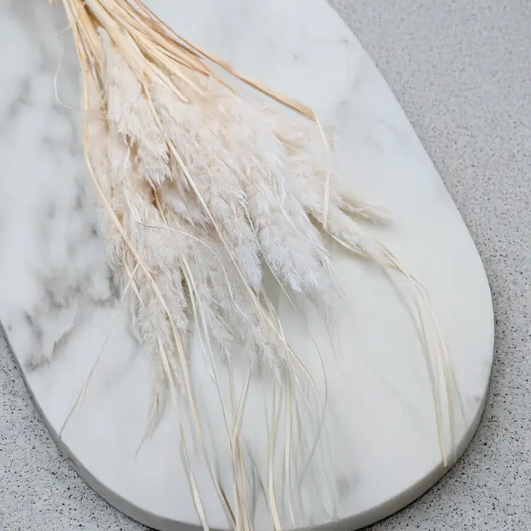 Mini Pampas bielony IT 1.png