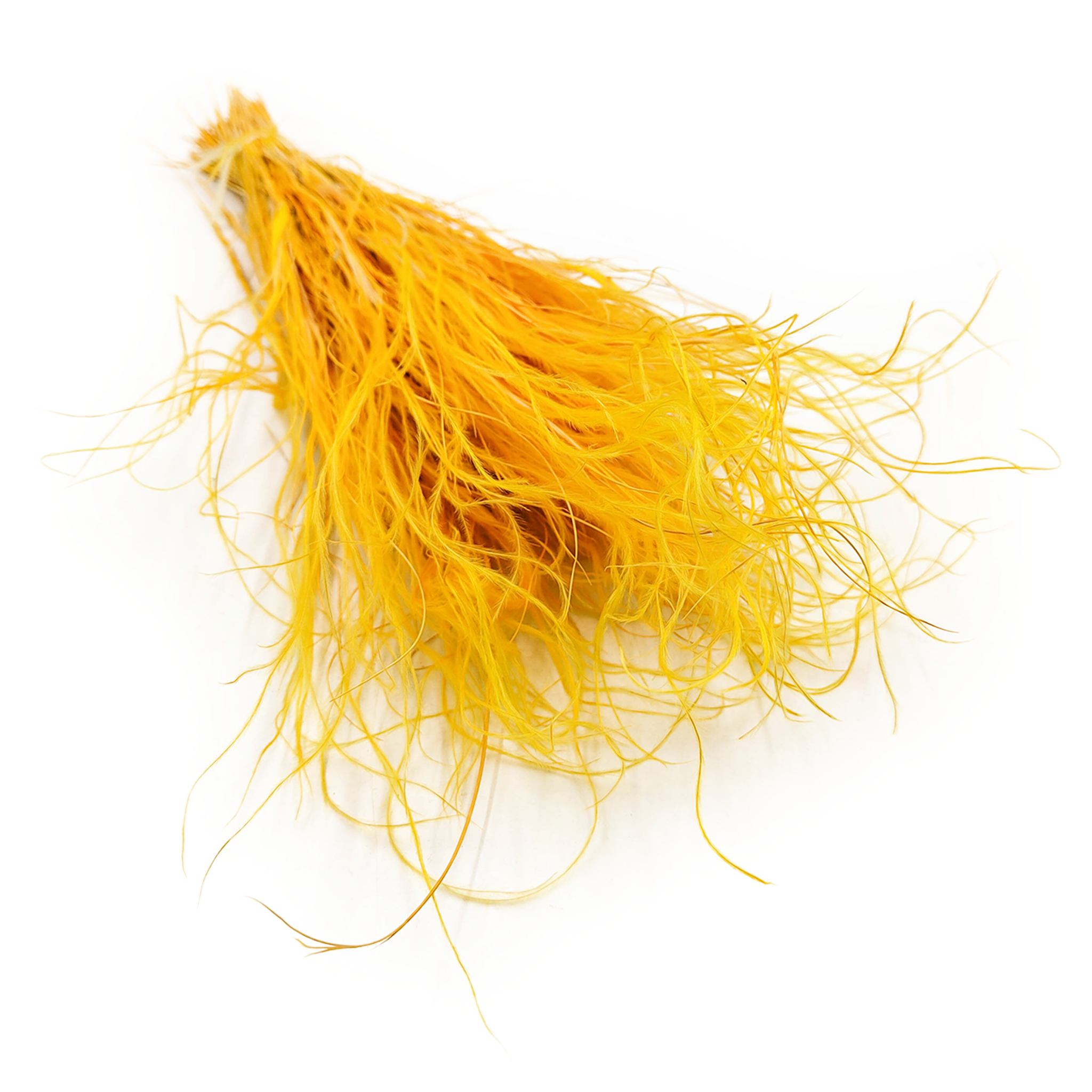 Suszona Stipa - Ostnica piórkowata - (Stipa pennata) - Imbirowa