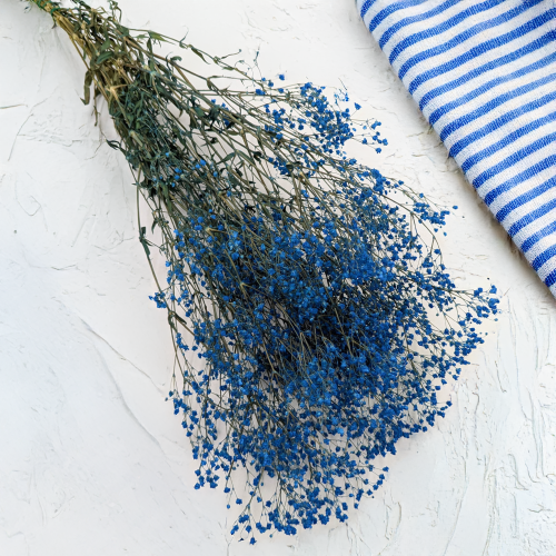 Gipsówka stabilizowana pastelowy niebieski 1.png