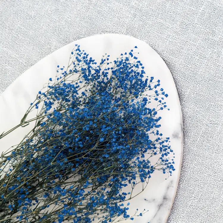 Gipsówka stabilizowana pastelowy niebieski 2.png