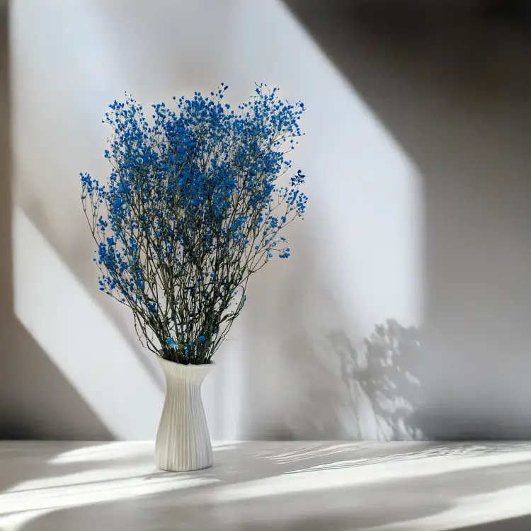 Gipsówka stabilizowana pastelowy niebieski 4.png