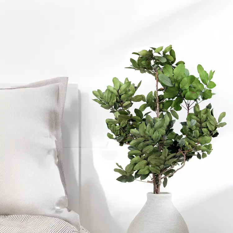 Pistacja Stabilizowana1.png