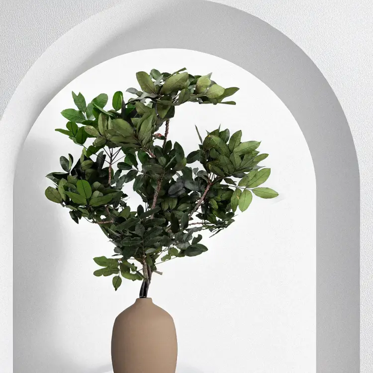 Pistacja Stabilizowana2.png