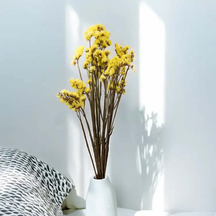 Zatrwian Stabilizowany Żółty.png