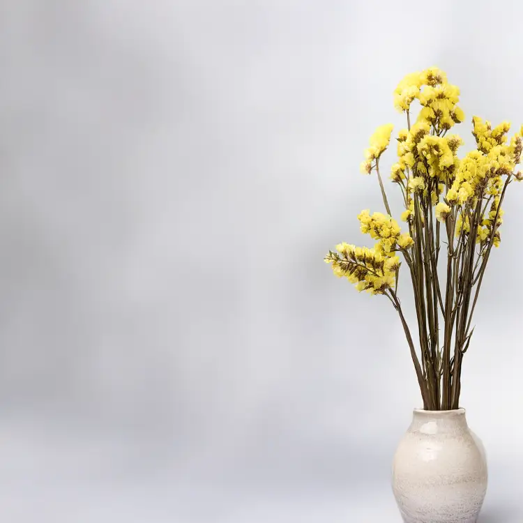 Zatrwian Stabilizowany Żółty 1.png